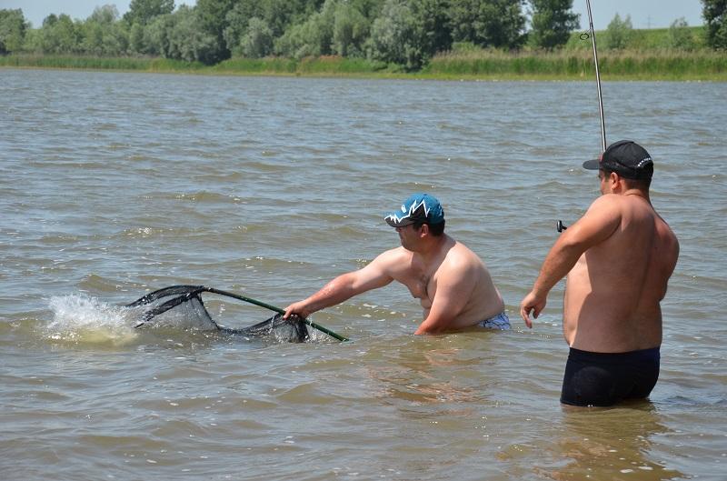 CUPA BECKER SARULESTI - pescuit-crap-sarulesti-3.JPG